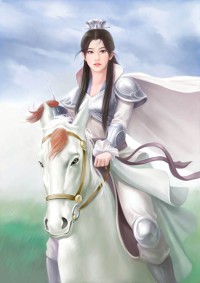 皇上的妃子娶过来