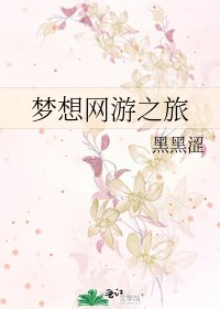 梦想网游之旅