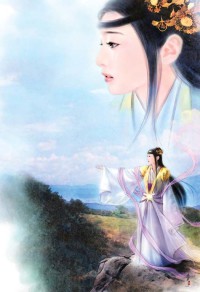 我的模板有点多