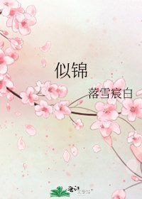 似錦